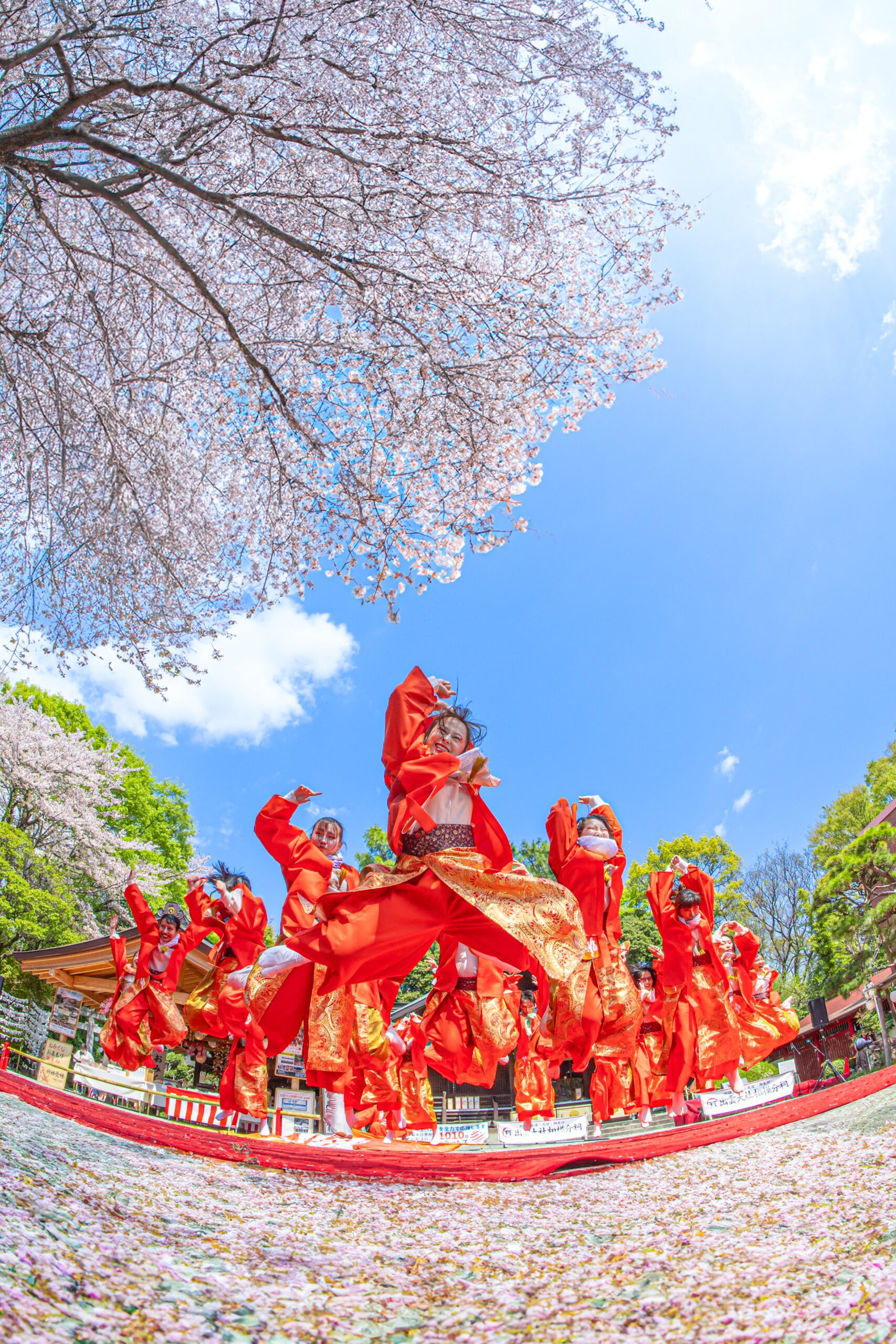 おどりびと よさこいご縁まつり